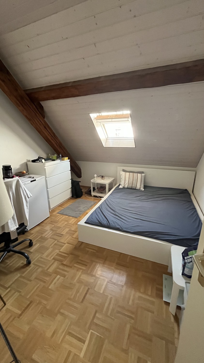 Room in a shared flat in Geneva center
