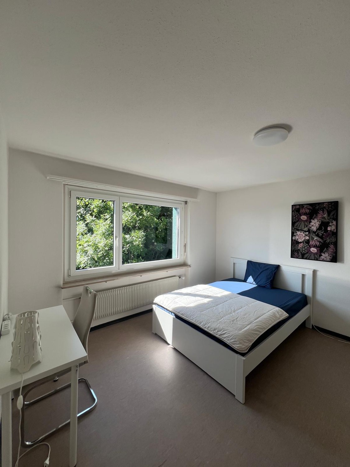 Private Room in Shared Apartment in Richterswil