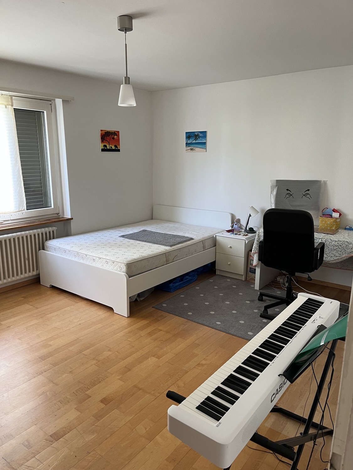 Spacious room in Zürich shared flat