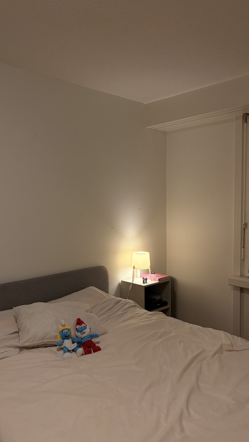 24.7 sqm room in Zurich shared flat