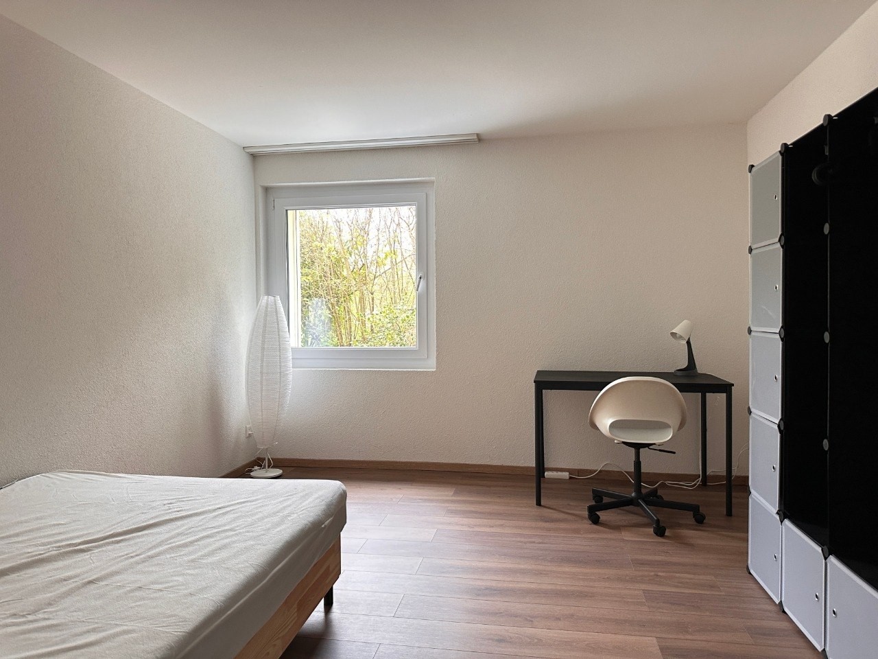 Room in modern shared apartment in Witikon Zurich